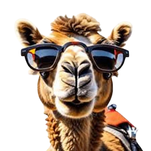Cool Camel